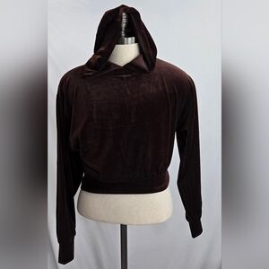 Express Women's Velour Hoodie Cropped Sweatshirt Brown Size Small